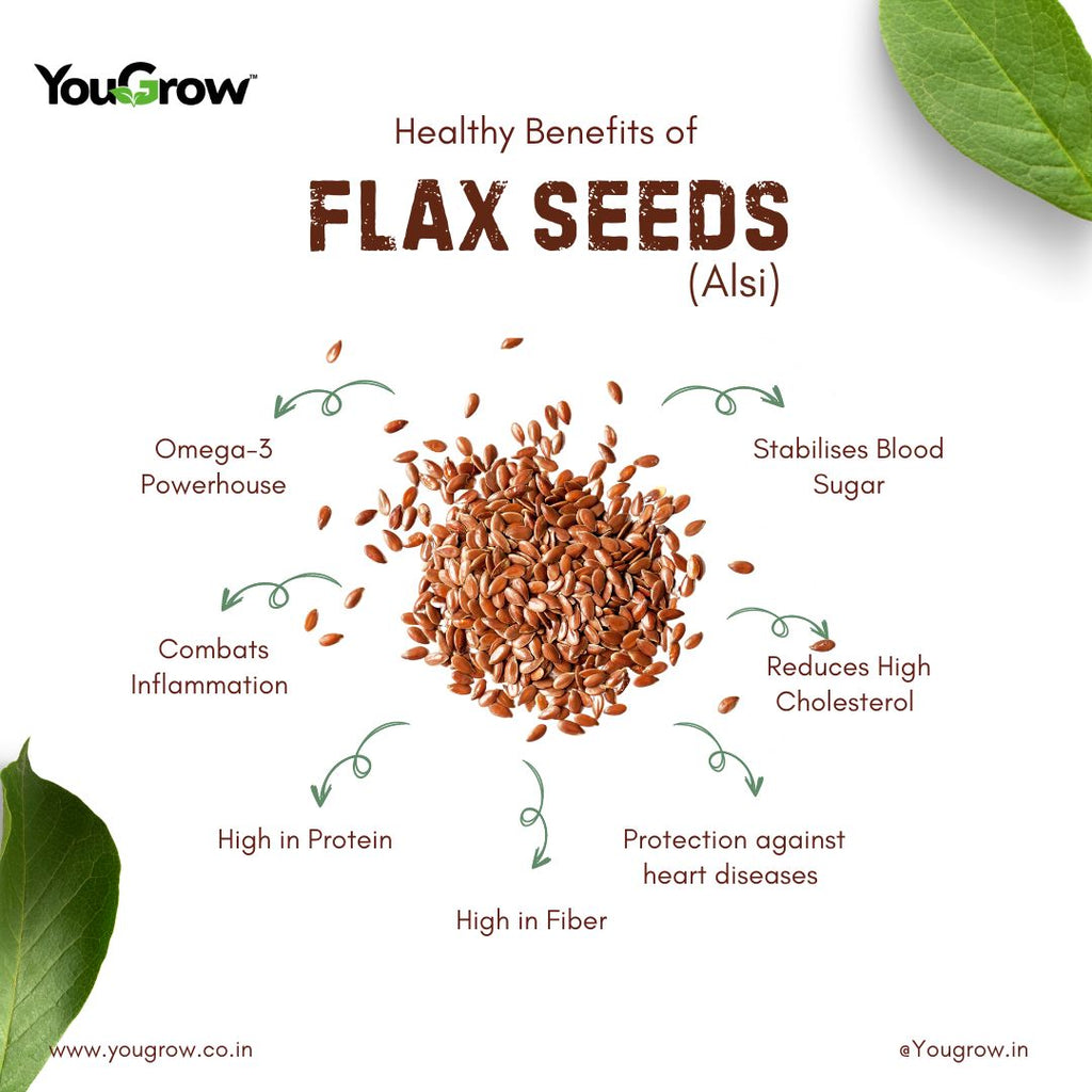 Flax (Alsi) Seeds 250gm | Rich in Protein and Omega-3