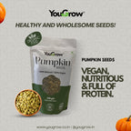 Pumpkin (Kaddu) Seeds 250gm | Immunity Booster & Weight Management