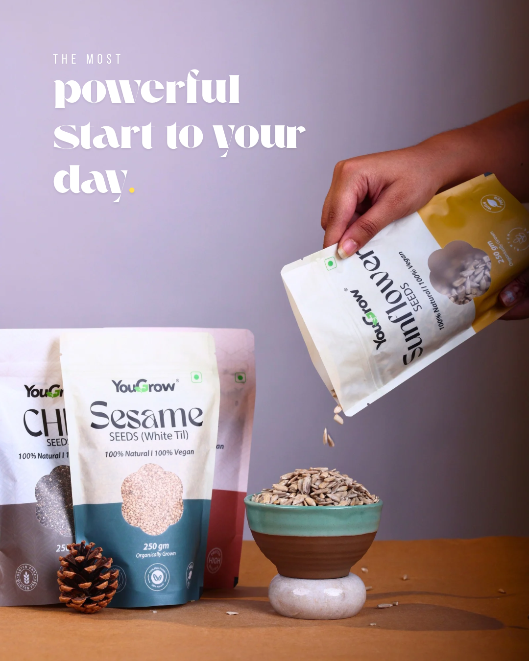 Raw Sunflower (Surajmukhi) Seeds 250gm | Source of Antioxidants