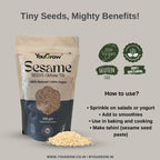 Raw White Sesame (Til) Seeds for Eating- 250gm | Everyday Essentials Indian Spices