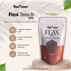 Flax (Alsi) Seeds 250gm | Rich in Protein and Omega-3