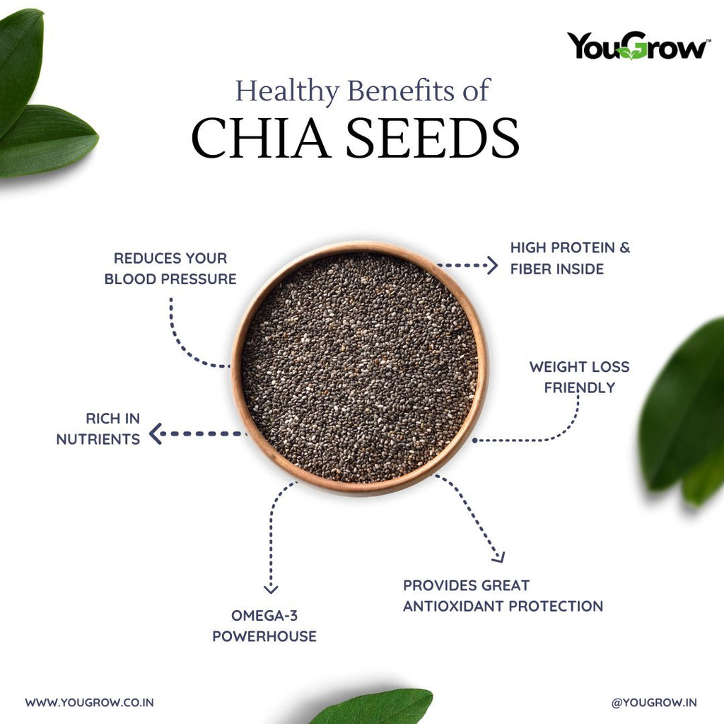 Chia (Sabja) Seeds 250g | Rich in Calcium, Protein and Fiber