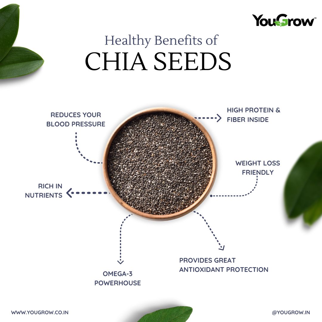 Chia (Sabja) Seeds 250g | Rich in Calcium, Protein and Fiber