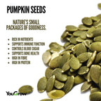 Pumpkin (Kaddu) Seeds 250gm | Immunity Booster & Weight Management | Available in Pack of 2 & 3