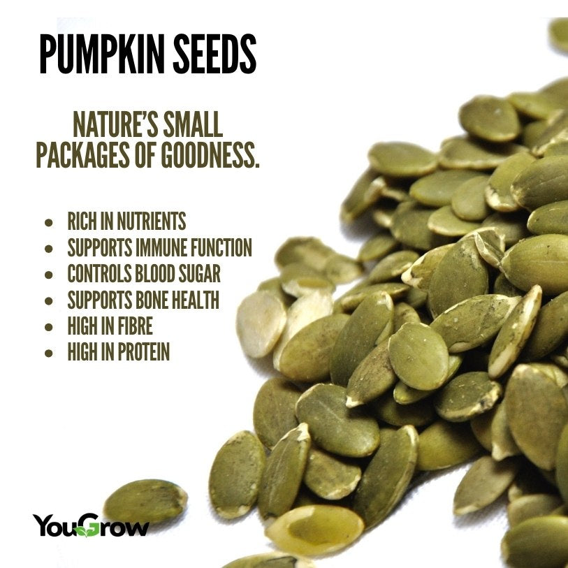 Pumpkin (Kaddu) Seeds 250gm | Immunity Booster & Weight Management | Available in Pack of 2 & 3