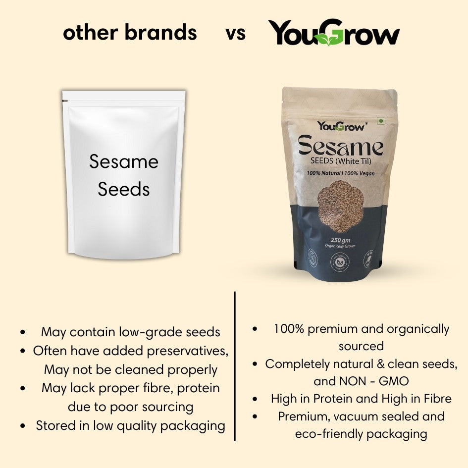 Raw White Sesame (Til) Seeds for Eating- 250gm | Everyday Essentials Indian Spices