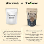 Raw White Sesame (Til) Seeds for Eating- 250gm | Everyday Essentials Indian Spices