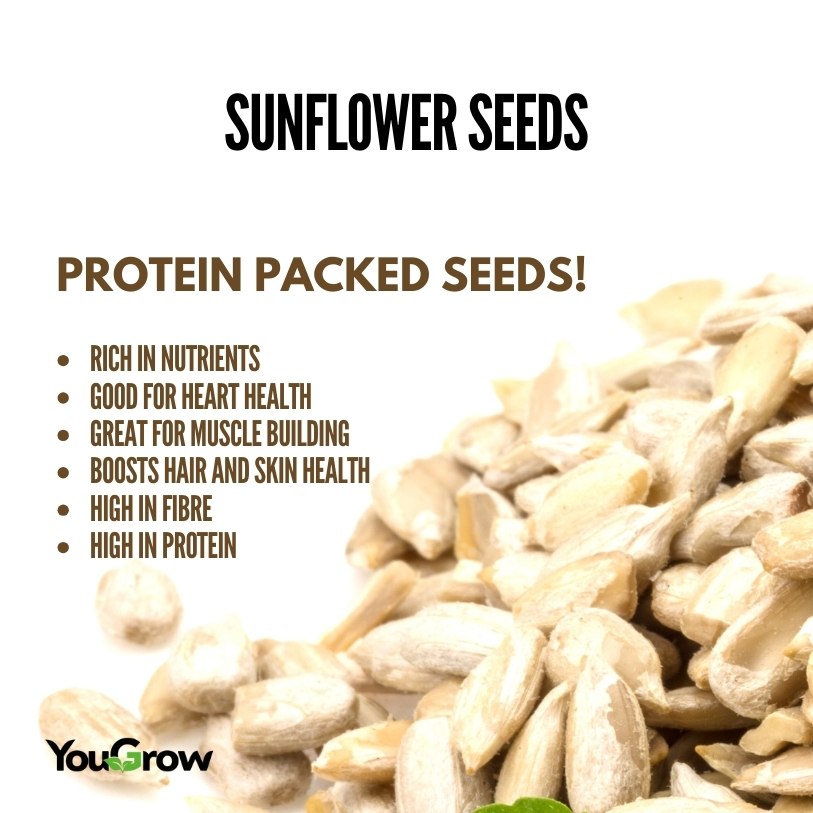 Raw Sunflower (Surajmukhi) Seeds 250gm | Source of Antioxidants