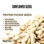 Raw Sunflower (Surajmukhi) Seeds 250gm | Source of Antioxidants
